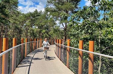 1,3 miljoen fietsers geteld in de zomer