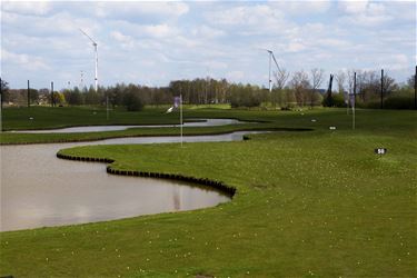 10.000 golfballen verdwenen in Paal - Beringen