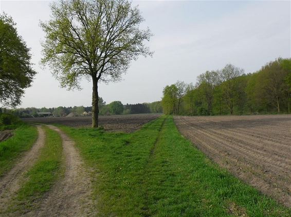 10 jaar werkgroep 'De Trage Weg' - Neerpelt