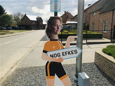 1000km voor Kom op tegen Kanker - Beringen