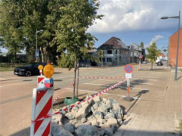 11.500 extra planten als klimaatmaatregel - Beringen