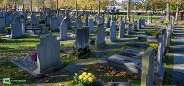 Hamont-Achel - 112.029 overlijdens in 2024