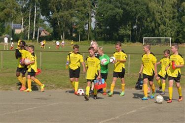 118.000 euro subsidies voor Beringse sportclubs - Beringen