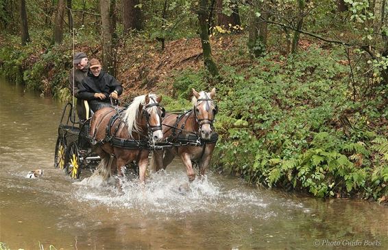 125 deelnemers reden Frietkotroute - Hamont-Achel