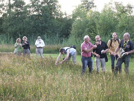 140 soorten gedetermineerd - Hechtel-Eksel