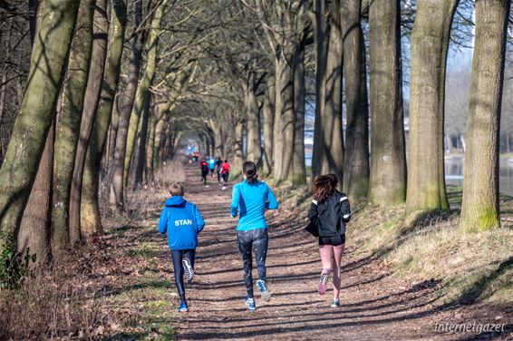 165 lopers op de Teutenbosloop van 't Dommelhof - Pelt