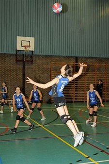 18 ploegen op jeugdvolleybaltornooi - Overpelt