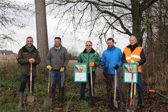 1ha bos dankzij Out of Use en Orange - Beringen