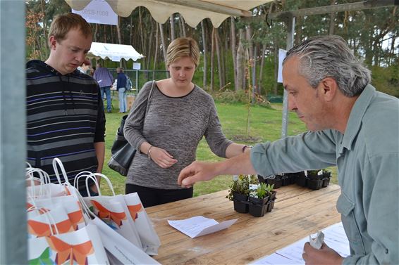 2.100 gezinnen halen vlinderplanten af - Lommel