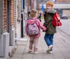 Pelt - 4.057 voetgangers gewond bij ongeval