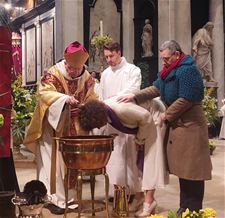 Hechtel-Eksel - 25 volwassen dopelingen in Limburg