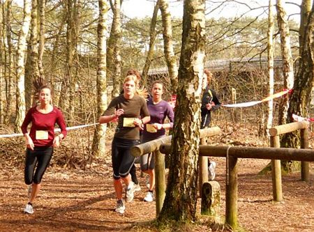 333 lopers in Teutenbosloop - Hechtel-Eksel