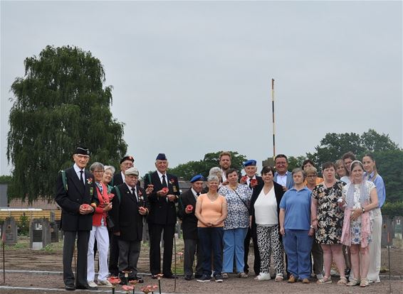 370 klaprozen voor graven oud-strijders - Hechtel-Eksel