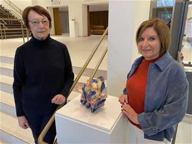 3D in het CC - Beringen