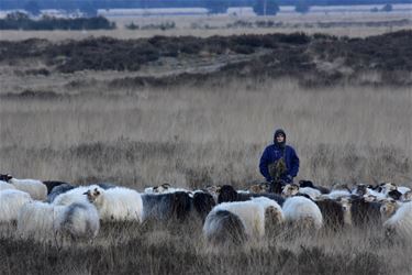 40 jaar natuurreservaat Vallei van de Zwarte Beek - Beringen