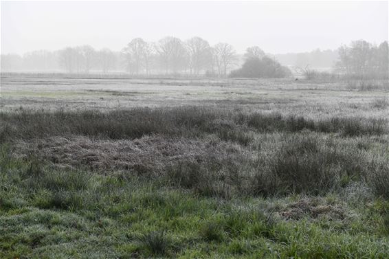 40 jaar natuurreservaat Vallei van de Zwarte Beek - Beringen