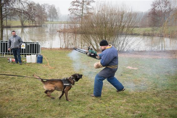 400 honden voor Wok 4 The Dok - Beringen