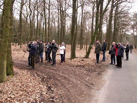 46 soorten vogels in de les - Lommel