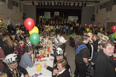 50ste prinsenbal voor de Pintevegers - Beringen