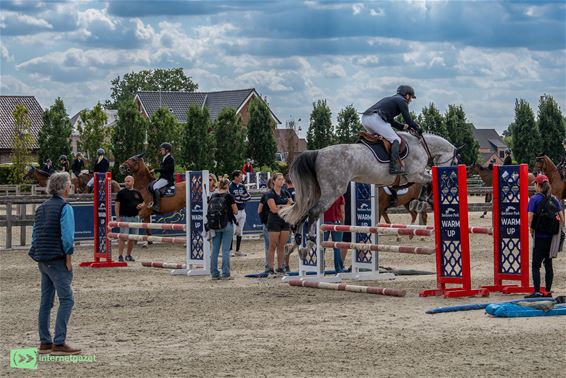 588 paarden openen Sentower Sun Classic - Oudsbergen