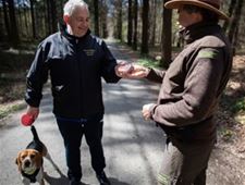 Pelt - Zes procent van de honden niet aangelijnd