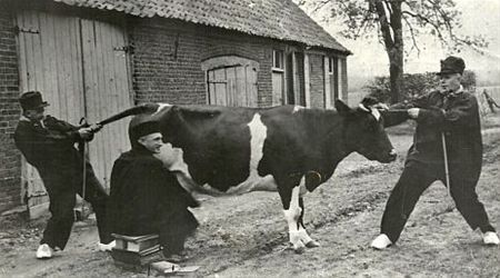 62 jaar geleden - Neerpelt