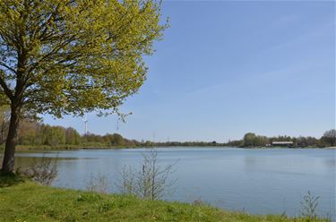 7de Covid19-wandeling WPG Beringen - Beringen