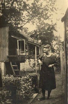 85 jaar duiven 'melken' - Hamont-Achel & Pelt