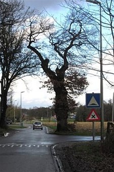 Aan de fotoliefhebbers in de gemeente - Meeuwen-Gruitrode