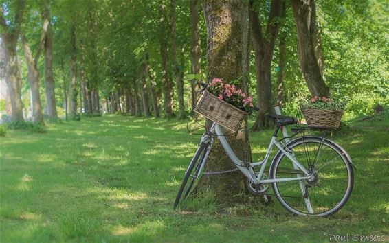 Aan de Oude Pastorij... - Bocholt