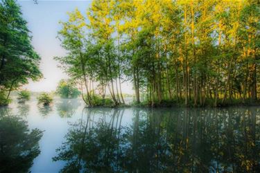 Aan de Paalse Plas - Beringen