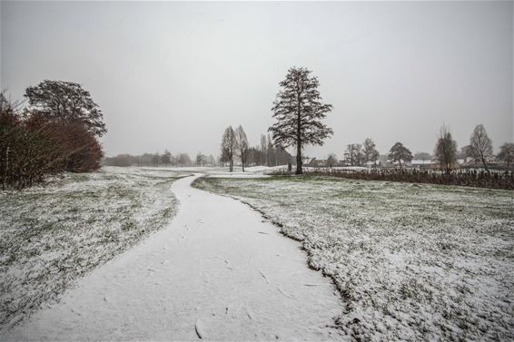 Aan de Paalse Plas - Beringen