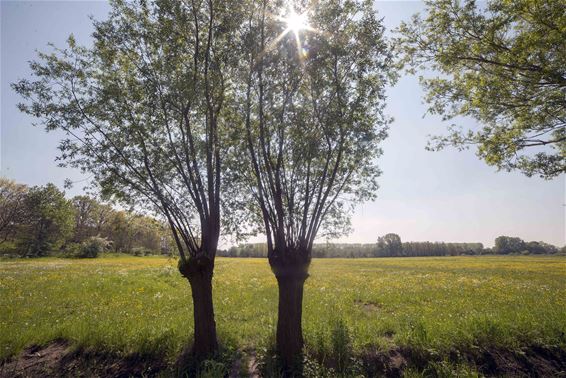 Aan het Wateringhuis - Lommel