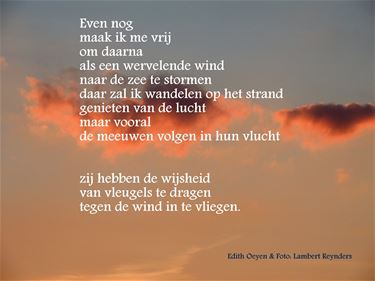 Aan zee met Edith - Beringen