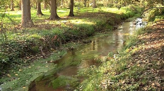 Aandacht voor de Dommel - Peer