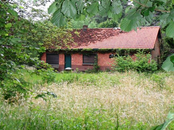 Aandacht voor natuurbeheer - Hamont-Achel