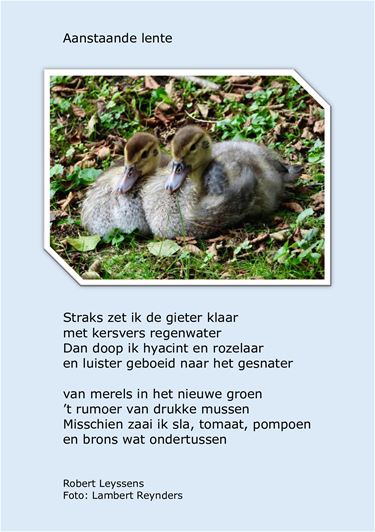 Leopoldsburg - Aanstaande lente