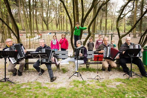 Accordeons aan de Scoutsrally - Neerpelt