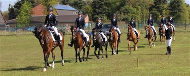 Achttal van ponyclub wint op tornooi - Peer