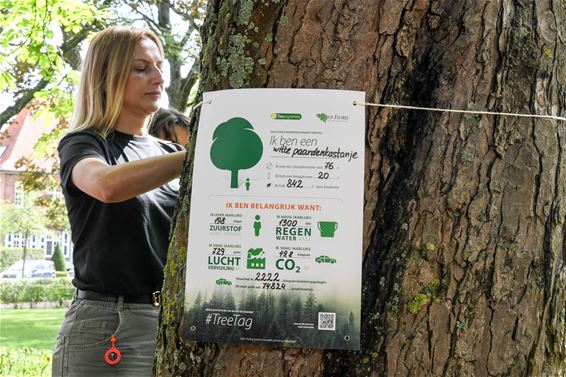 Actie #TreeTag wijst op het belang van bomen - Beringen