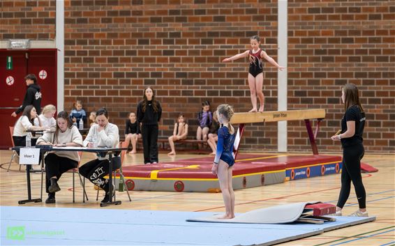 Actiefoto's van de turnmarathon - Pelt