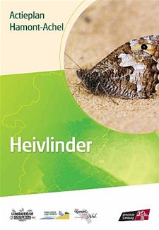 Actieplan voor heivlinder staat online - Hamont-Achel