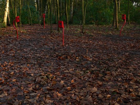 Activiteiten in het Klankenbos - Neerpelt