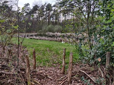 Negatief advies over leidingstraat - Beringen