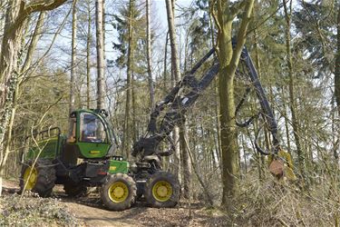 Afronding bosbeheerwerken in Beringen - Beringen