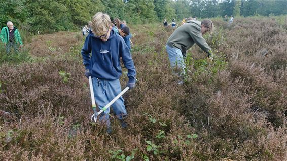 Agnetencollege steekt handen uit de mouwen - Peer