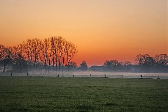 Doe mee aan die fotowedstrijd - Overpelt