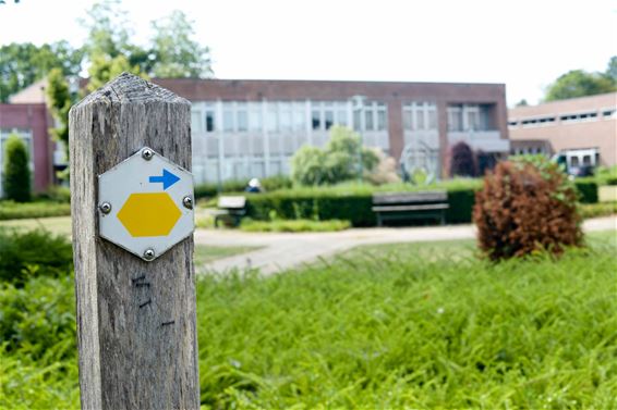 Al wandelend op ontdekking in Beringen - Beringen