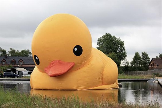 Alfred Jodocus Kwak is vertrokken - Lommel