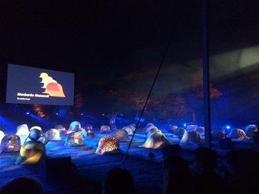 Alle helmen samen in Bokrijk